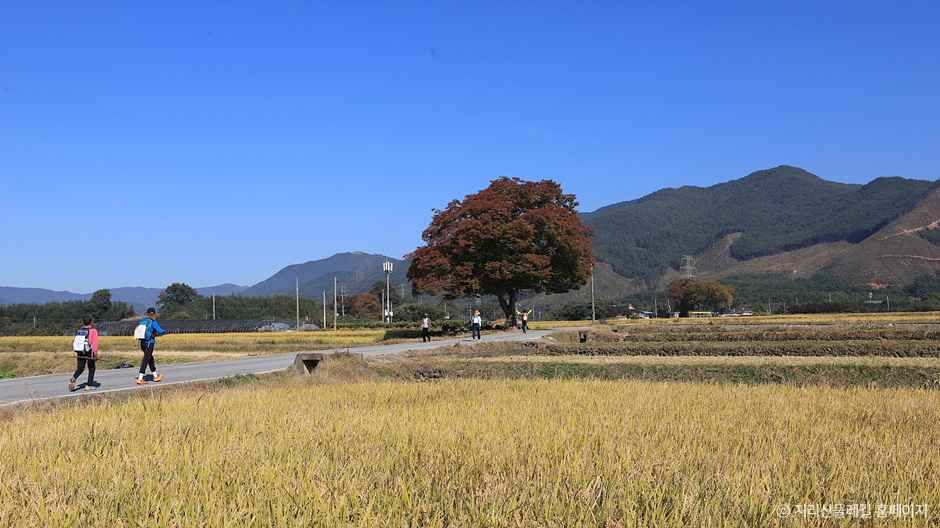 [지리산둘레길] 방광-산동 여행 추천 - 메고지고