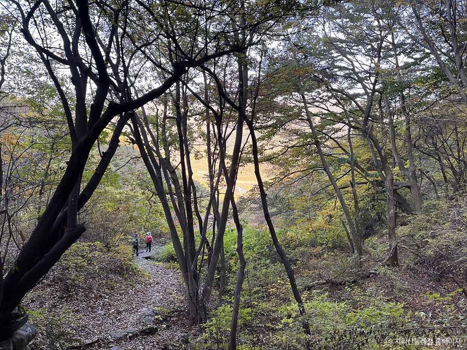 [지리산둘레길] 위태-하동호 여행 추천 - 메고지고