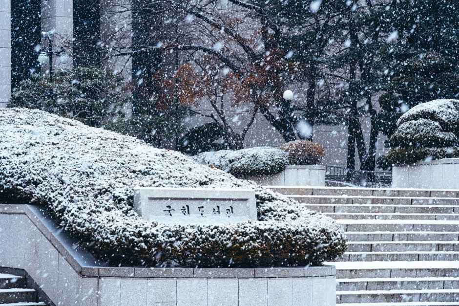 국회도서관 여행 추천 - 메고지고 국회도서관 여행 추천 - 메고지고