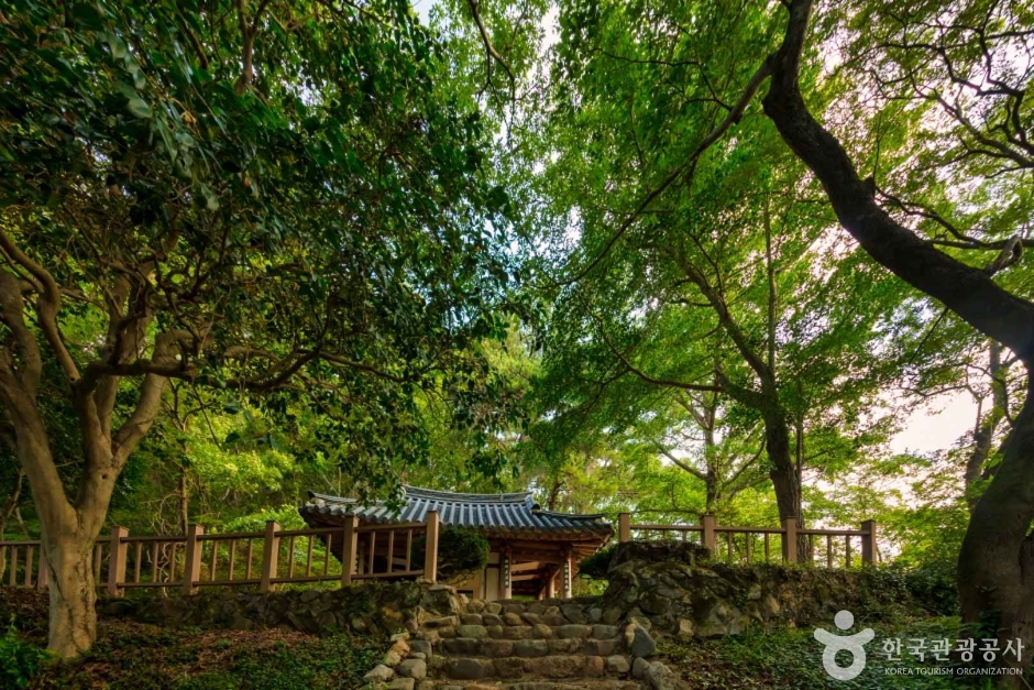 장흥 사인정 여행 추천 - 메고지고 장흥 사인정 여행 추천 - 메고지고