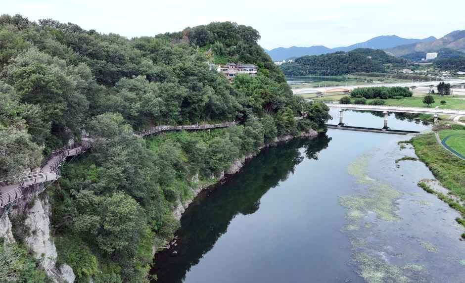 용두산 생태공원 여행 추천 - 메고지고 용두산 생태공원 여행 추천 - 메고지고