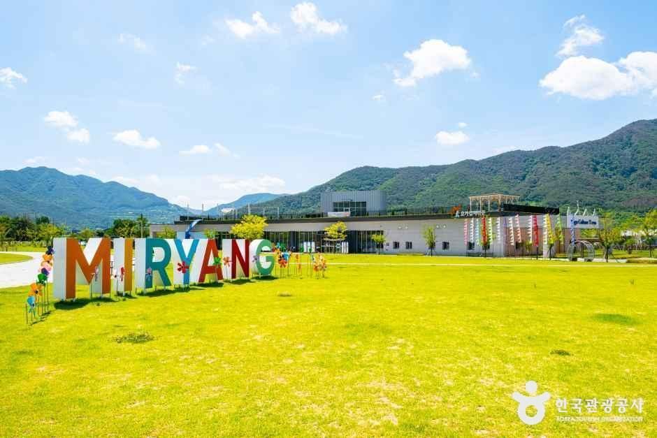 요가컬처타운 여행 추천 - 메고지고 요가컬처타운 여행 추천 - 메고지고