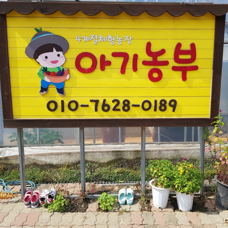 아기농부 여행 추천 - 메고지고 아기농부 여행 추천 - 메고지고