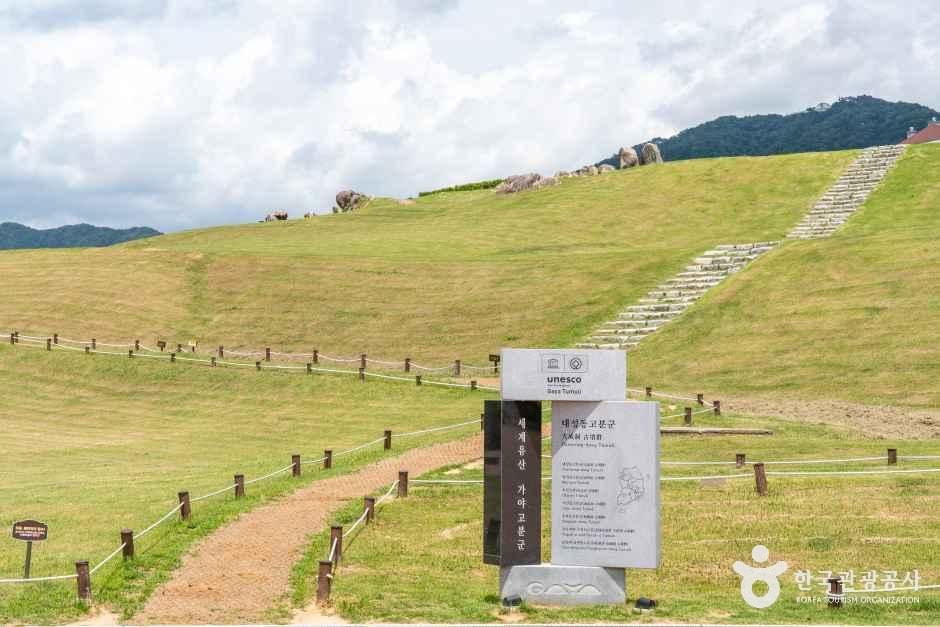 김해 대성동 고분군 여행 추천 - 메고지고 김해 대성동 고분군 여행 추천 - 메고지고