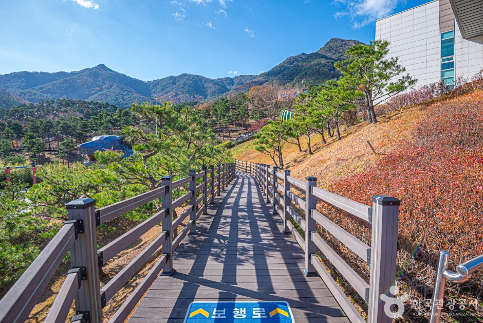 산청 동의보감촌 여행 추천 - 메고지고