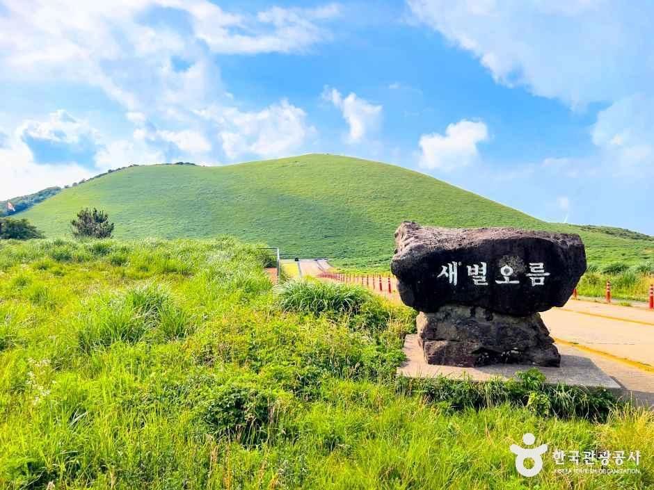 새별오름 여행 추천 - 메고지고 새별오름 여행 추천 - 메고지고