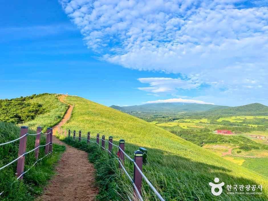 새별오름 여행 추천 - 메고지고 새별오름 여행 추천 - 메고지고