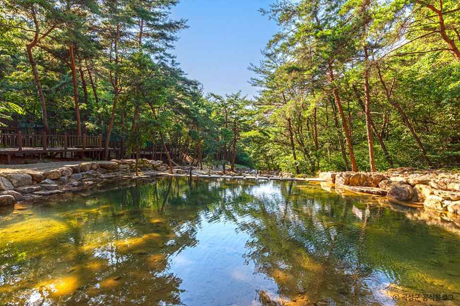 청계동솔바람야영장 여행 추천 - 메고지고