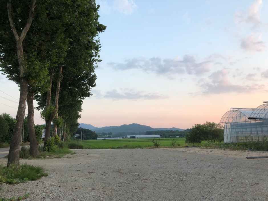 팜앤트리 여행 추천 - 메고지고 팜앤트리 여행 추천 - 메고지고