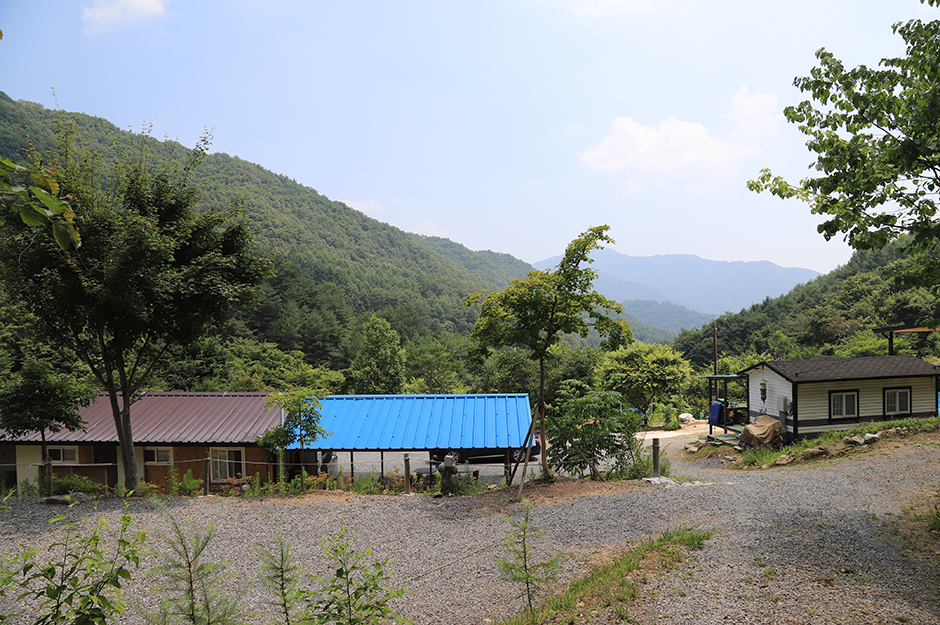 두산오토캠핑장 여행 추천 - 메고지고
