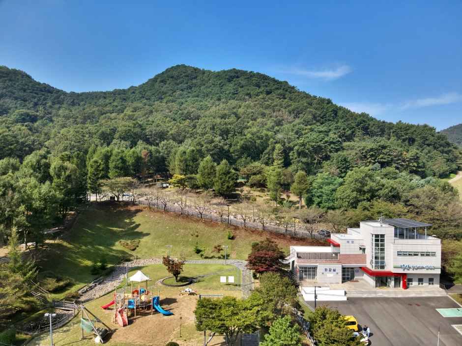 덕산국민여가캠핑장 여행 추천 - 메고지고 덕산국민여가캠핑장 여행 추천 - 메고지고