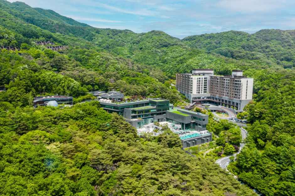 포레스트 리솜 해브나인 스파 여행 추천 - 메고지고 포레스트 리솜 해브나인 스파 여행 추천 - 메고지고