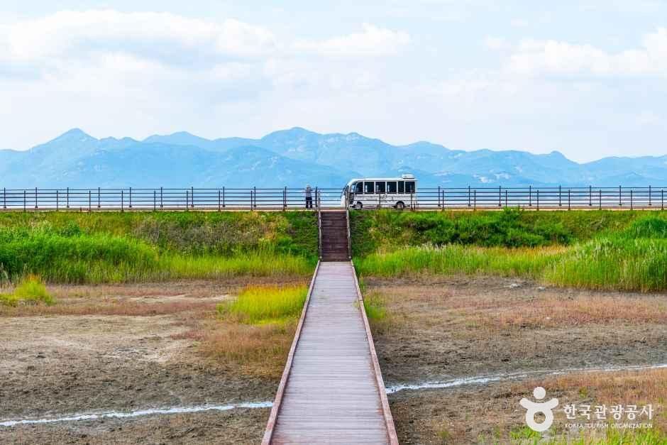 람사르고창갯벌센터 여행 추천 - 메고지고 람사르고창갯벌센터 여행 추천 - 메고지고