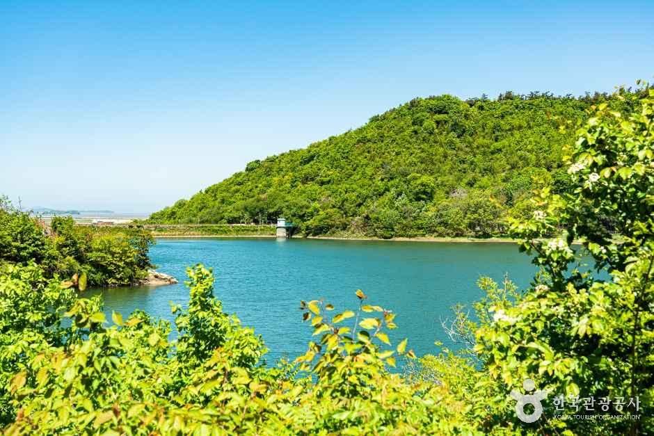 월명공원 여행 추천 - 메고지고