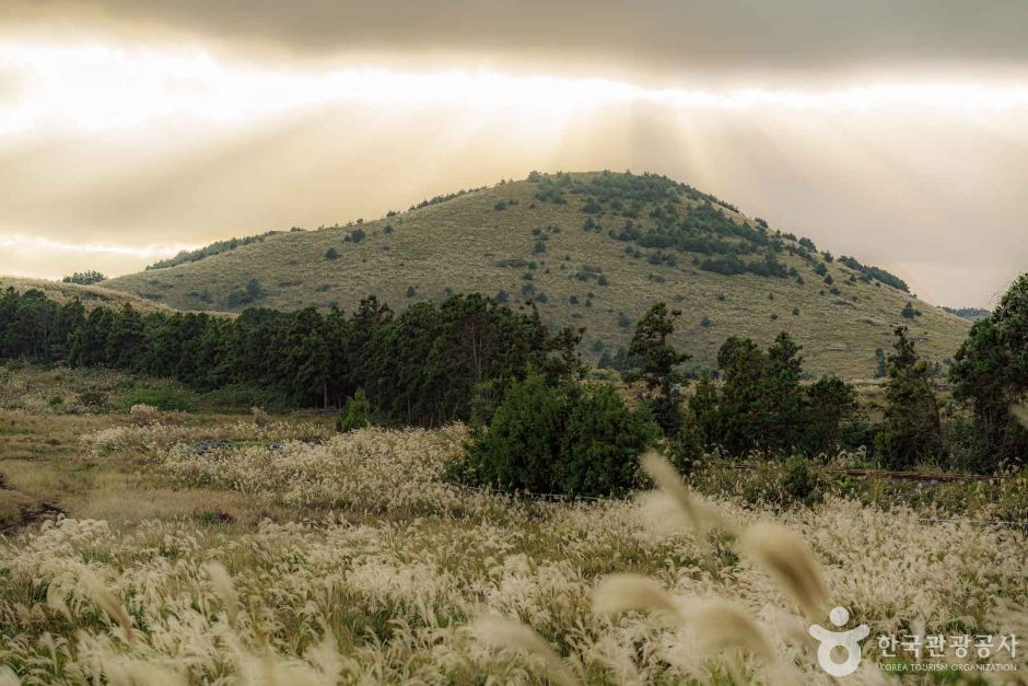 용눈이오름 여행 추천 - 메고지고