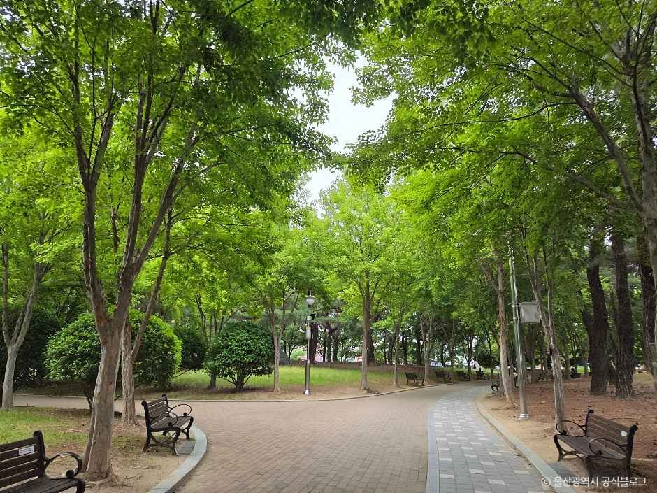 문화공원(울산) 여행 추천 - 메고지고 문화공원(울산) 여행 추천 - 메고지고