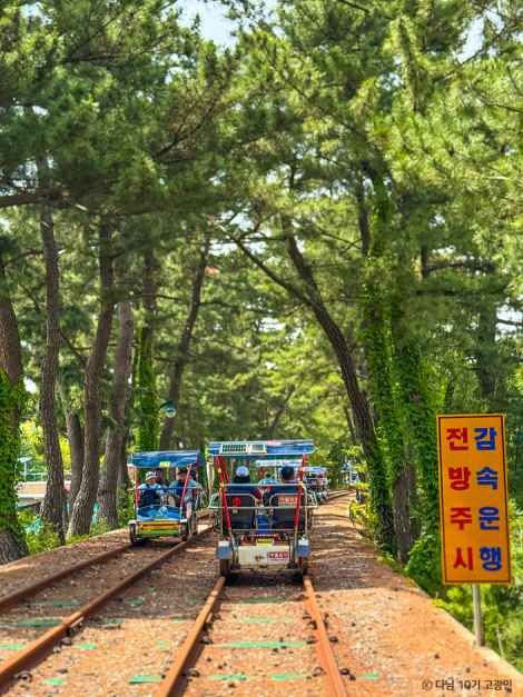 삼척 해양레일바이크 여행 추천 - 메고지고 삼척 해양레일바이크 여행 추천 - 메고지고