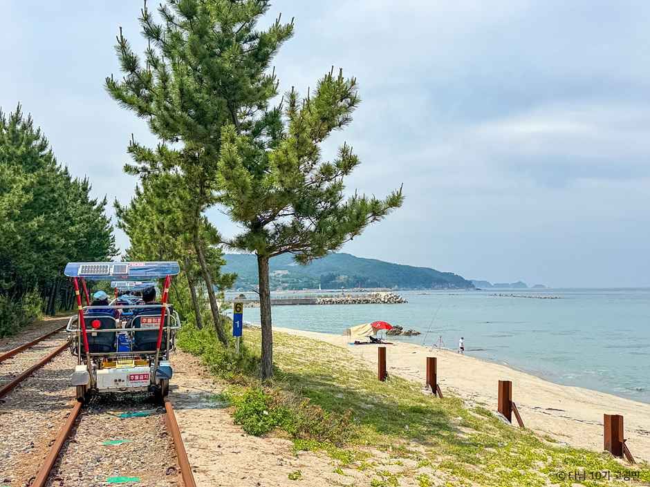 삼척 해양레일바이크 여행 추천 - 메고지고 삼척 해양레일바이크 여행 추천 - 메고지고