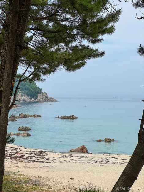 삼척 해양레일바이크 여행 추천 - 메고지고 삼척 해양레일바이크 여행 추천 - 메고지고