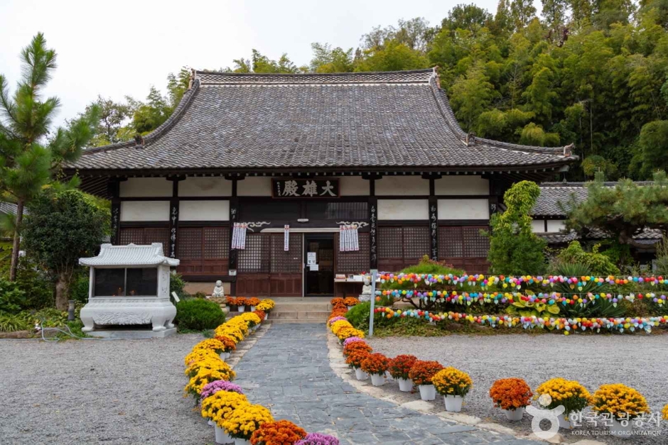 동국사(군산) 여행 추천 - 메고지고 동국사(군산) 여행 추천 - 메고지고