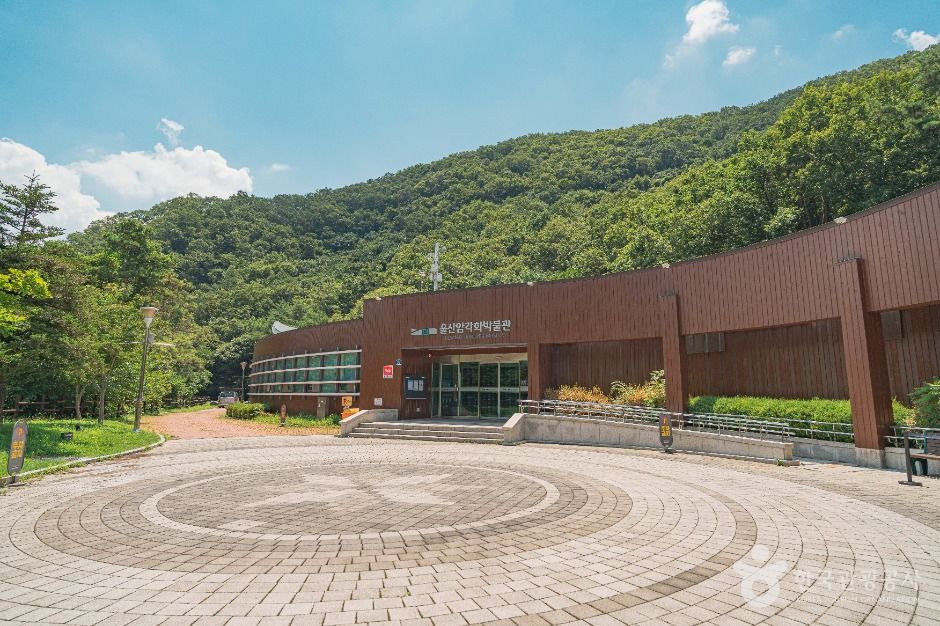 울산암각화박물관 여행 추천 - 메고지고