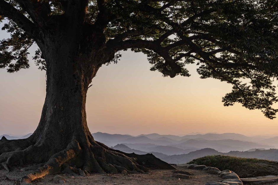 부여 가림성 여행 추천 - 메고지고