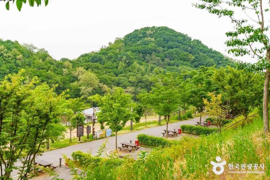 천왕산 가족캠핑장 여행 추천 - 메고지고 천왕산 가족캠핑장 여행 추천 - 메고지고