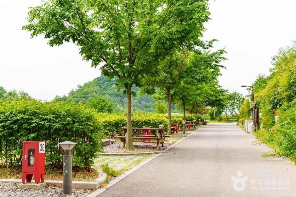 천왕산 가족캠핑장 여행 추천 - 메고지고 천왕산 가족캠핑장 여행 추천 - 메고지고