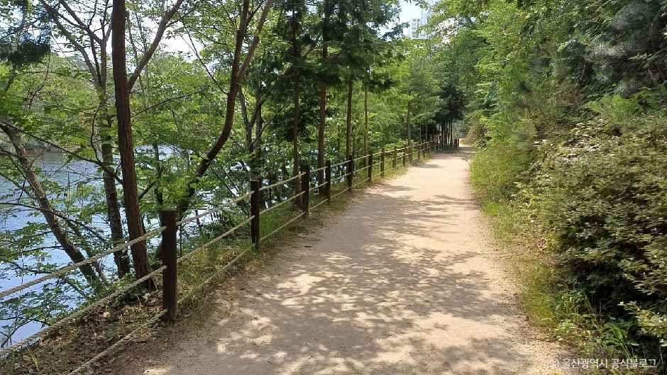 명덕호수공원 여행 추천 - 메고지고 명덕호수공원 여행 추천 - 메고지고
