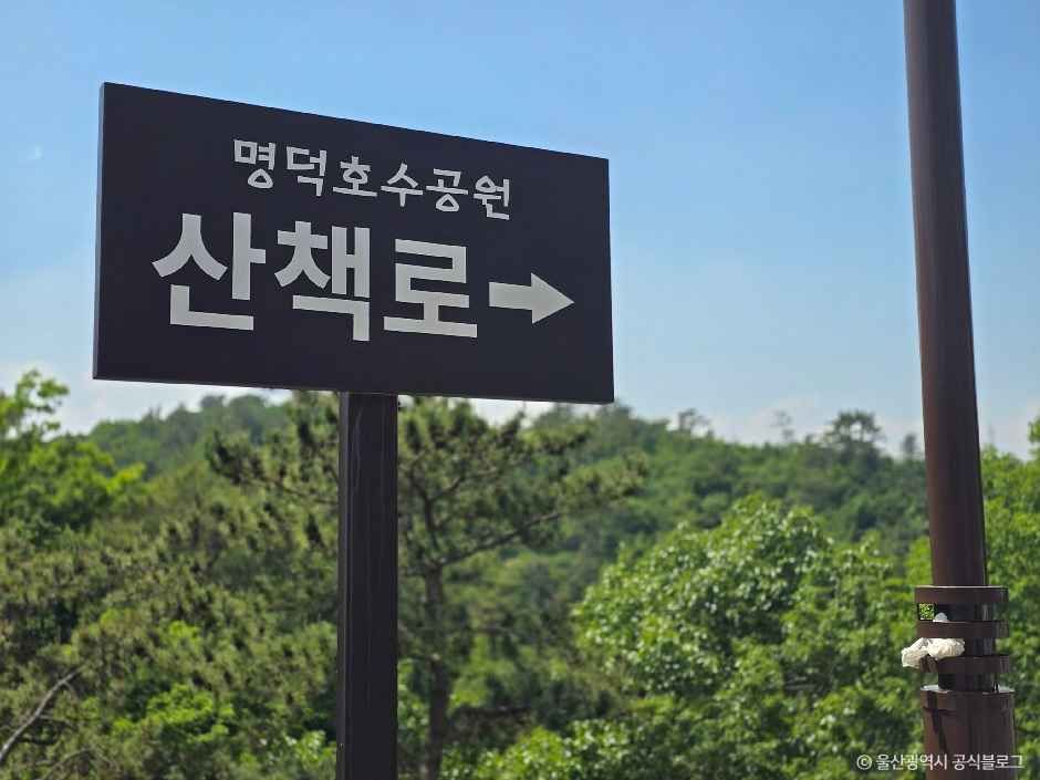 명덕호수공원 여행 추천 - 메고지고 명덕호수공원 여행 추천 - 메고지고