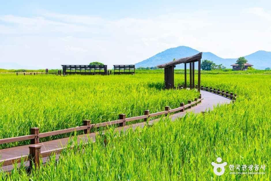 순천만습지 여행 추천 - 메고지고 순천만습지 여행 추천 - 메고지고