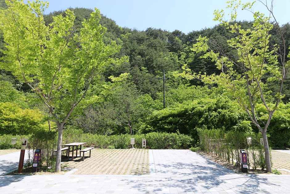 학천 야영장 여행 추천 - 메고지고