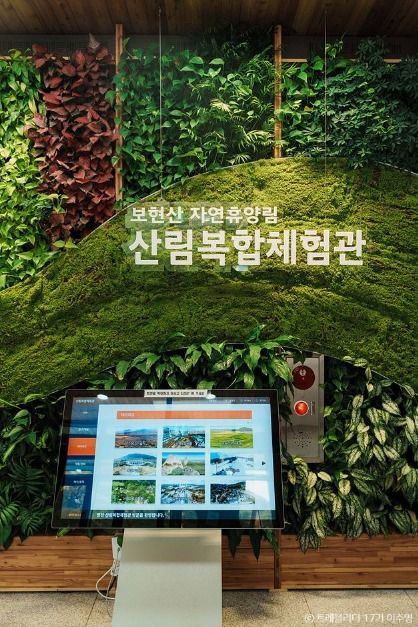 보현산자연휴양림 산림복합체험관 여행 추천 - 메고지고
