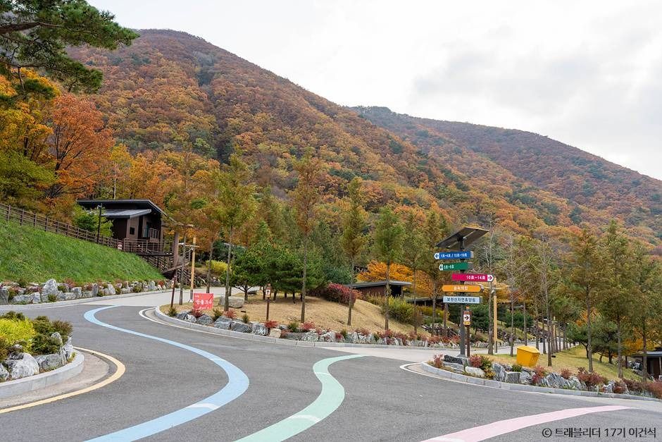 보현산자연휴양림 산림복합체험관 여행 추천 - 메고지고