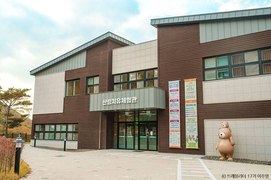 보현산자연휴양림 산림복합체험관 여행 추천 - 메고지고