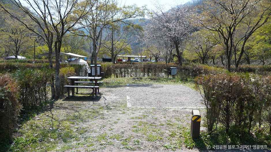 가인야영장 여행 추천 - 메고지고 가인야영장 여행 추천 - 메고지고