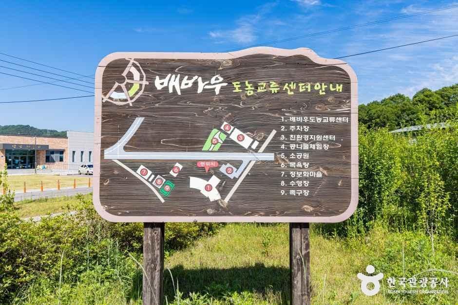 배바우청정 정보화마을 여행 추천 - 메고지고 배바우청정 정보화마을 여행 추천 - 메고지고