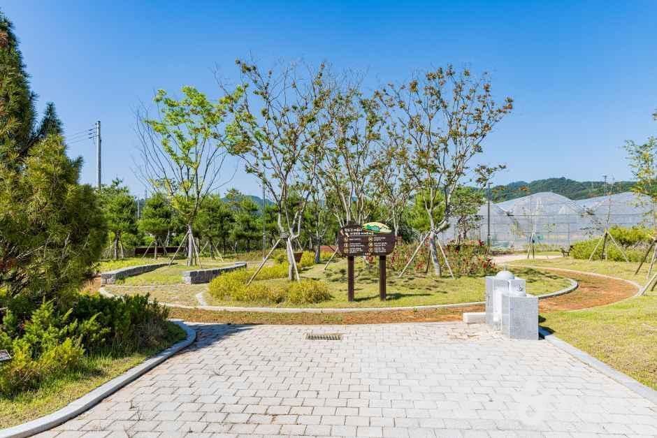 배바우청정 정보화마을 여행 추천 - 메고지고 배바우청정 정보화마을 여행 추천 - 메고지고