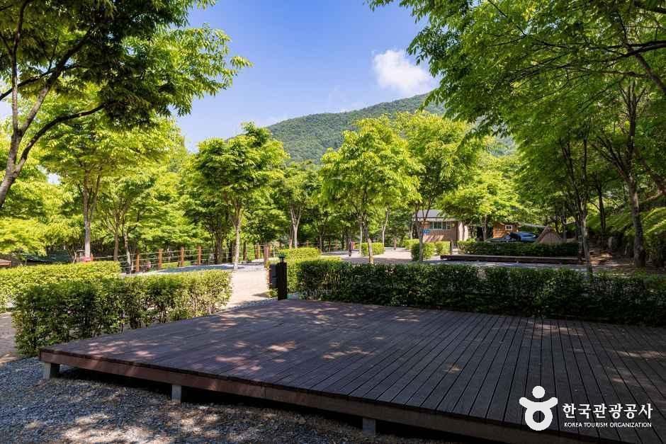천동관광지 여행 추천 - 메고지고 천동관광지 여행 추천 - 메고지고