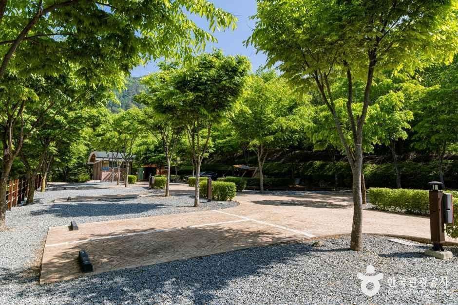 천동관광지 여행 추천 - 메고지고 천동관광지 여행 추천 - 메고지고
