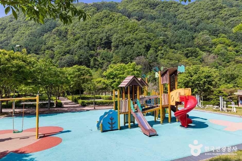 천동관광지 여행 추천 - 메고지고 천동관광지 여행 추천 - 메고지고