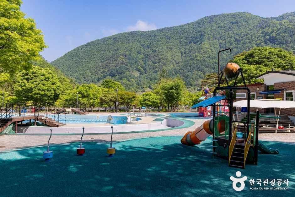 천동관광지 여행 추천 - 메고지고 천동관광지 여행 추천 - 메고지고