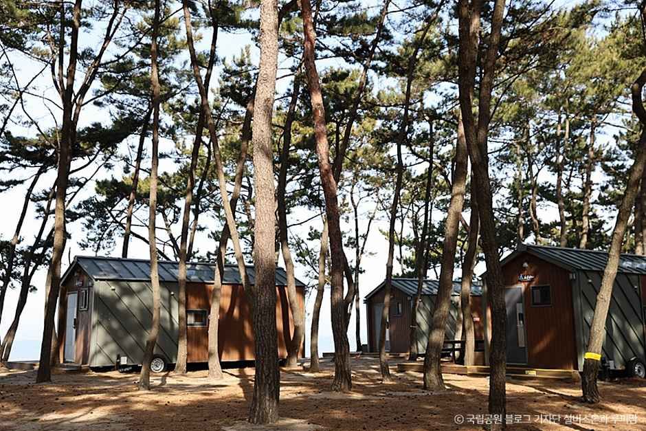 고사포야영장 여행 추천 - 메고지고 고사포야영장 여행 추천 - 메고지고