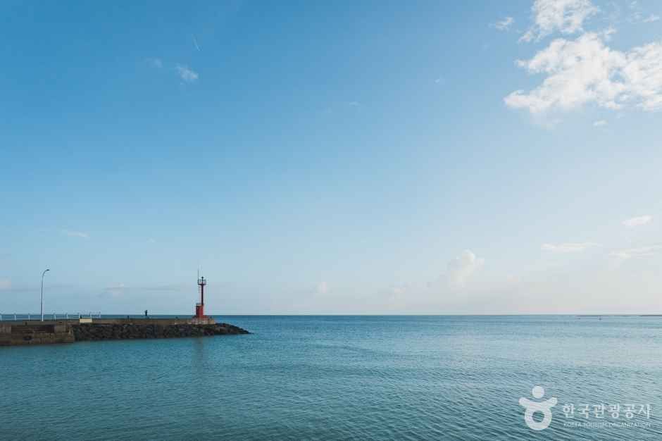 세기알해변 여행 추천 - 메고지고