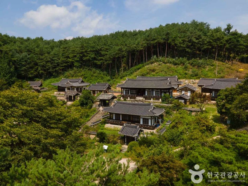안동 군자마을(오천유적지) 여행 추천 - 메고지고 안동 군자마을(오천유적지) 여행 추천 - 메고지고
