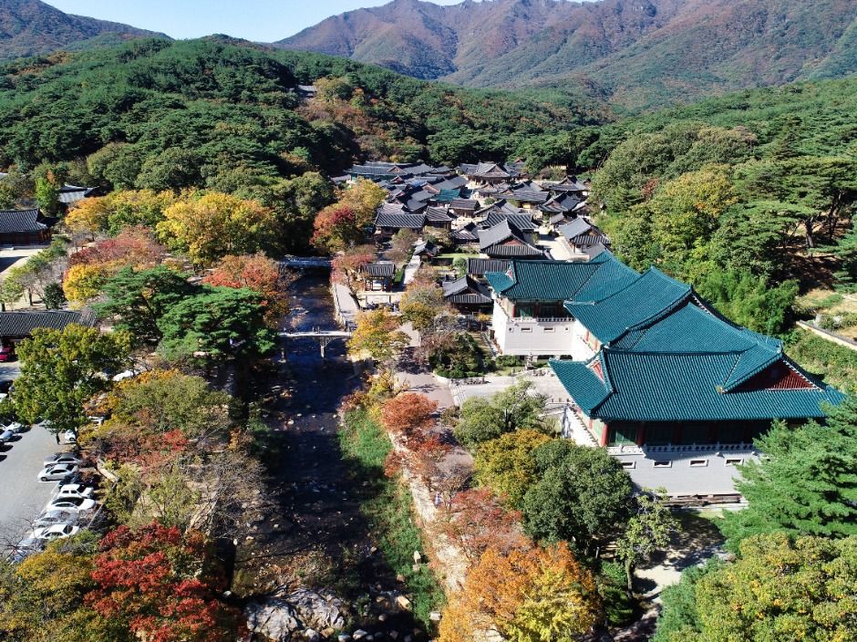 통도사(양산) 여행 추천 - 메고지고 통도사(양산) 여행 추천 - 메고지고