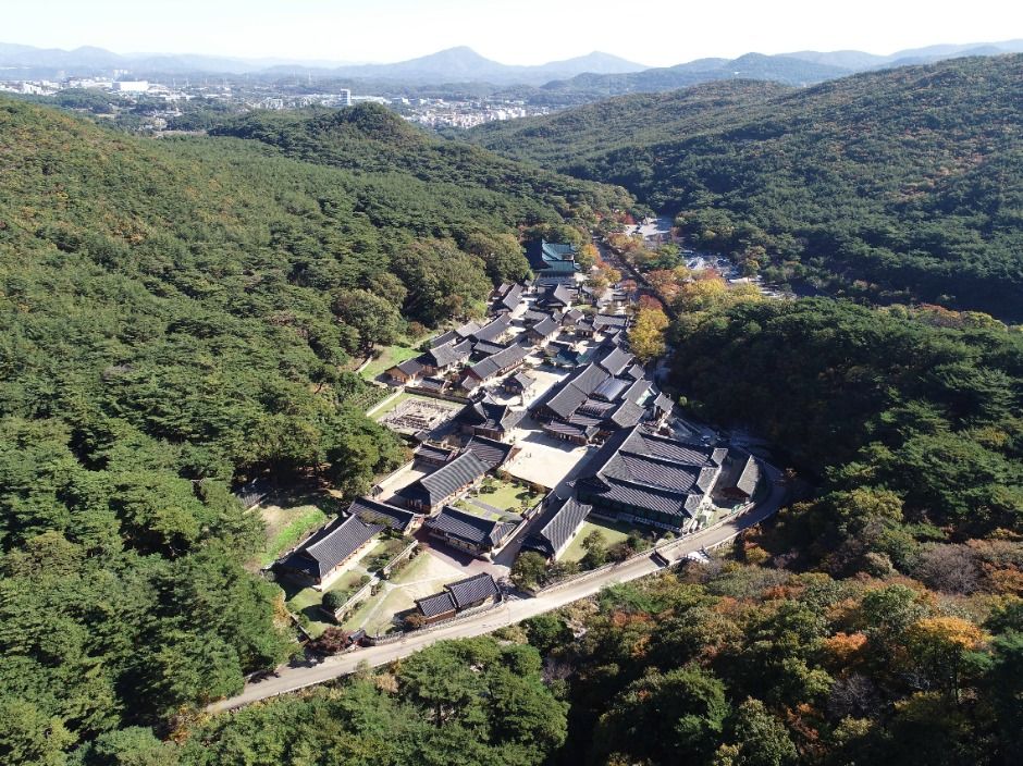 통도사(양산) 여행 추천 - 메고지고 통도사(양산) 여행 추천 - 메고지고