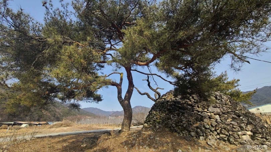 거창 거기리 성황단 여행 추천 - 메고지고 거창 거기리 성황단 여행 추천 - 메고지고