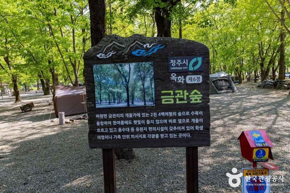 금관숲캠핑장 여행 추천 - 메고지고 금관숲캠핑장 여행 추천 - 메고지고