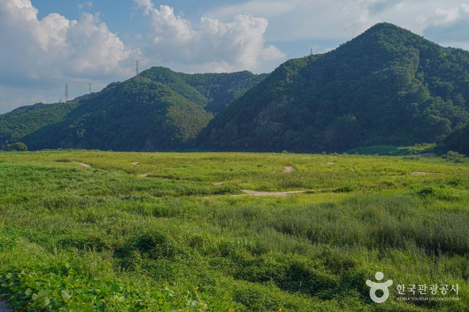 내도리강변유원지 여행 추천 - 메고지고 내도리강변유원지 여행 추천 - 메고지고